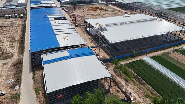 鋼結(jié)構(gòu)網(wǎng)架廠家